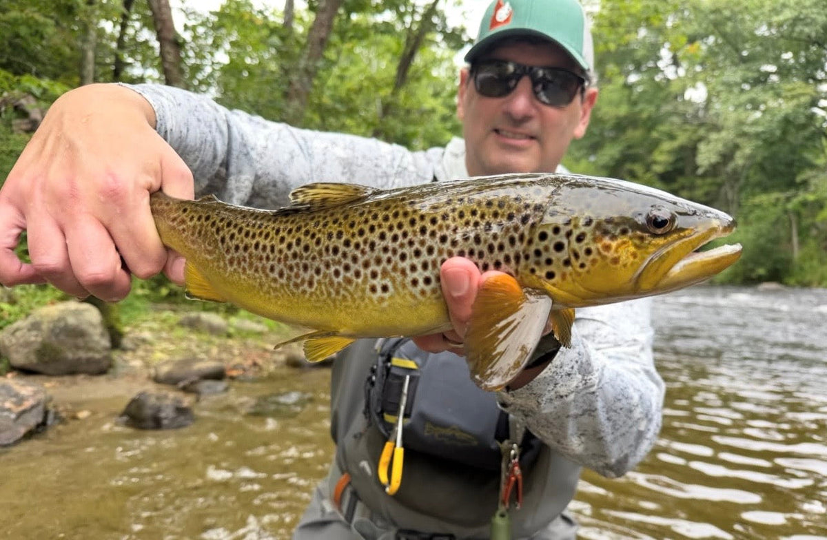 CT Freshwater Report as of 9/4/2026
