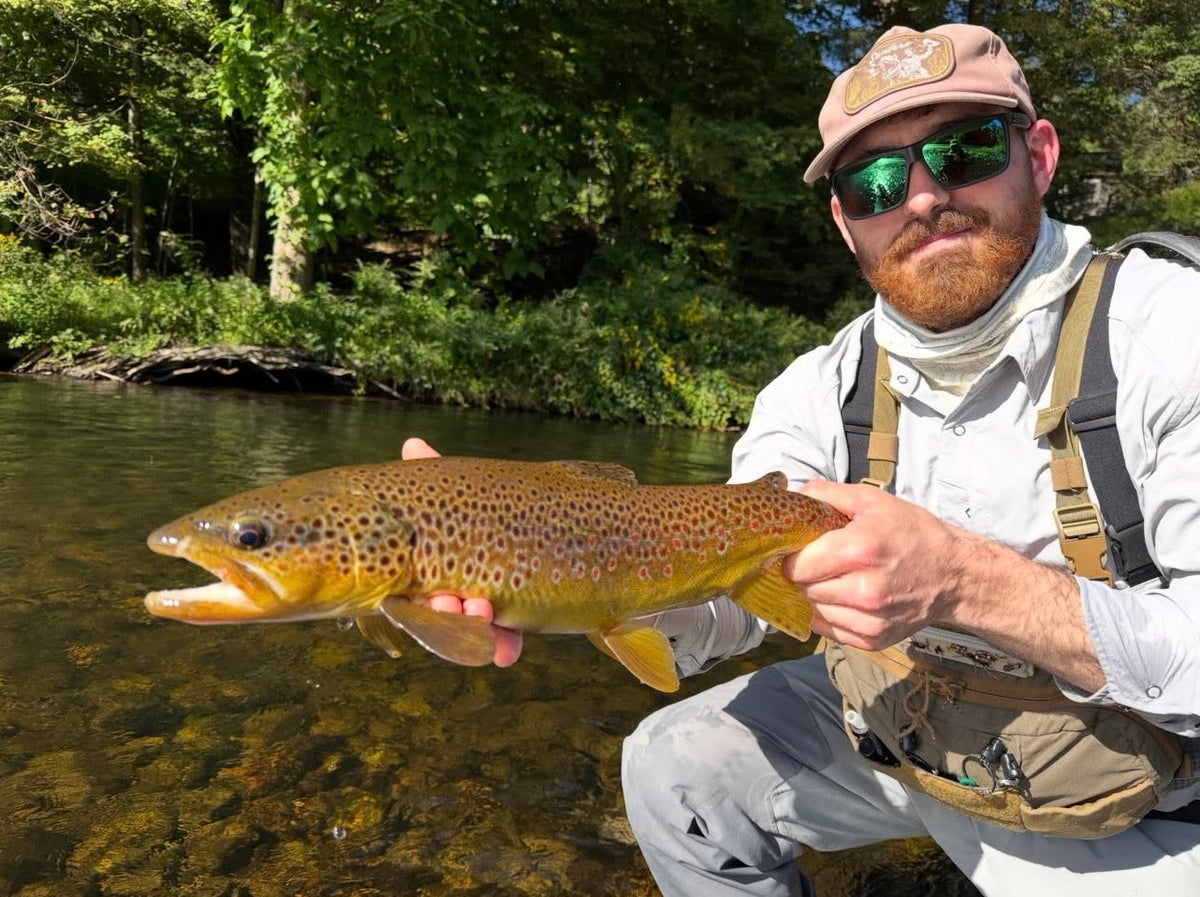 CT Freshwater Report as of 9/10/2026