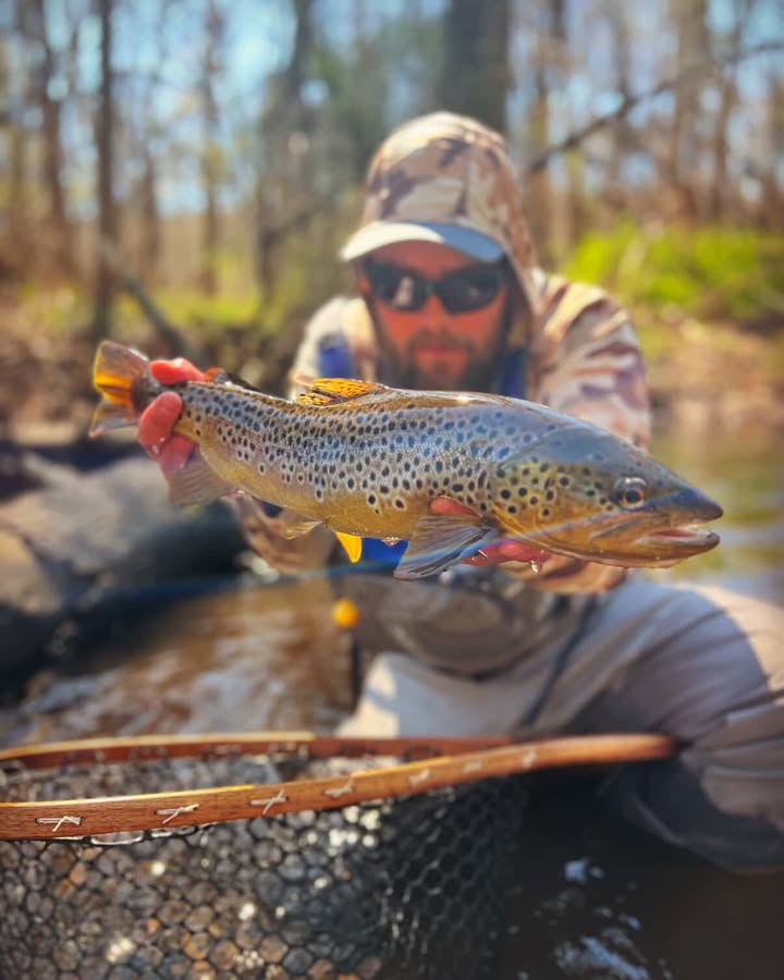 Lets Go Fishing!