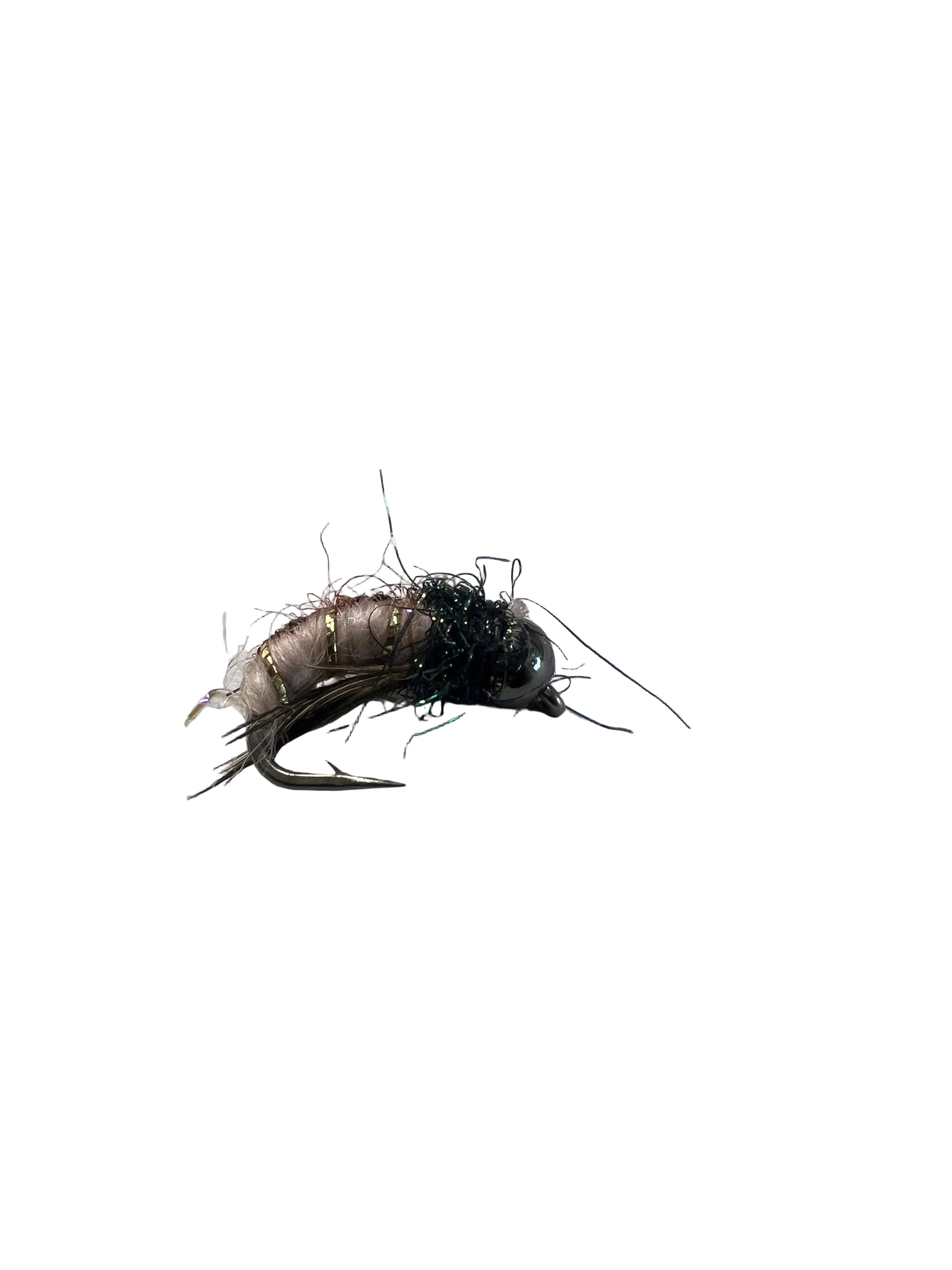 BMAR Caddis Pupae