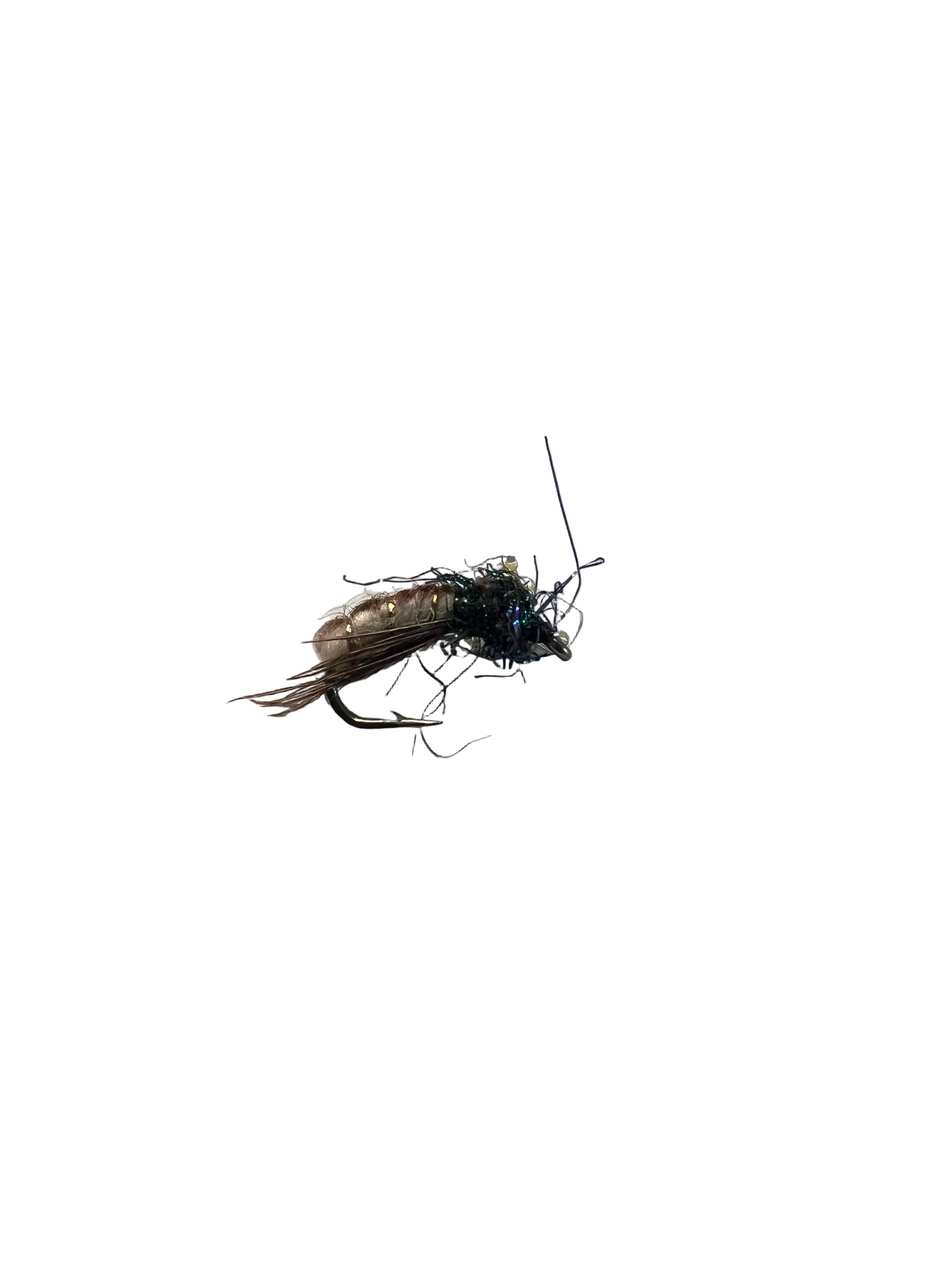 BMAR Caddis Pupae