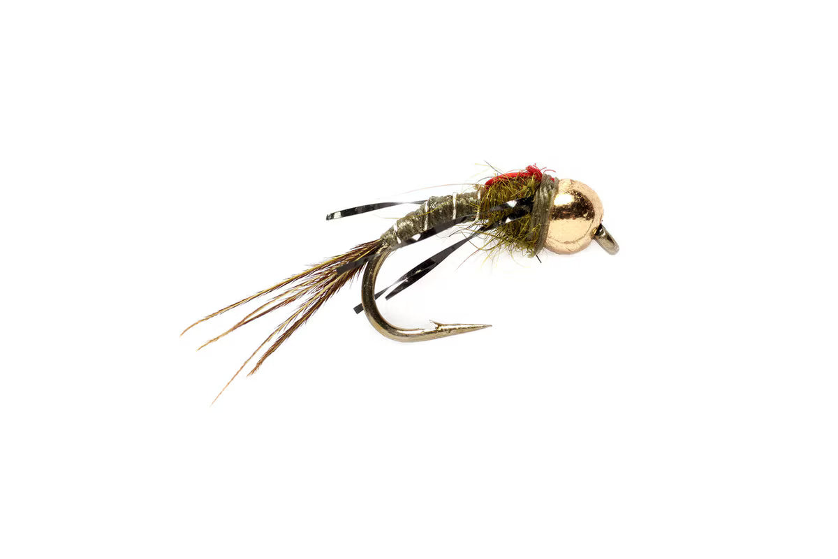 Higa's SOS Nymph