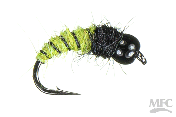 BH Caddis Pupa