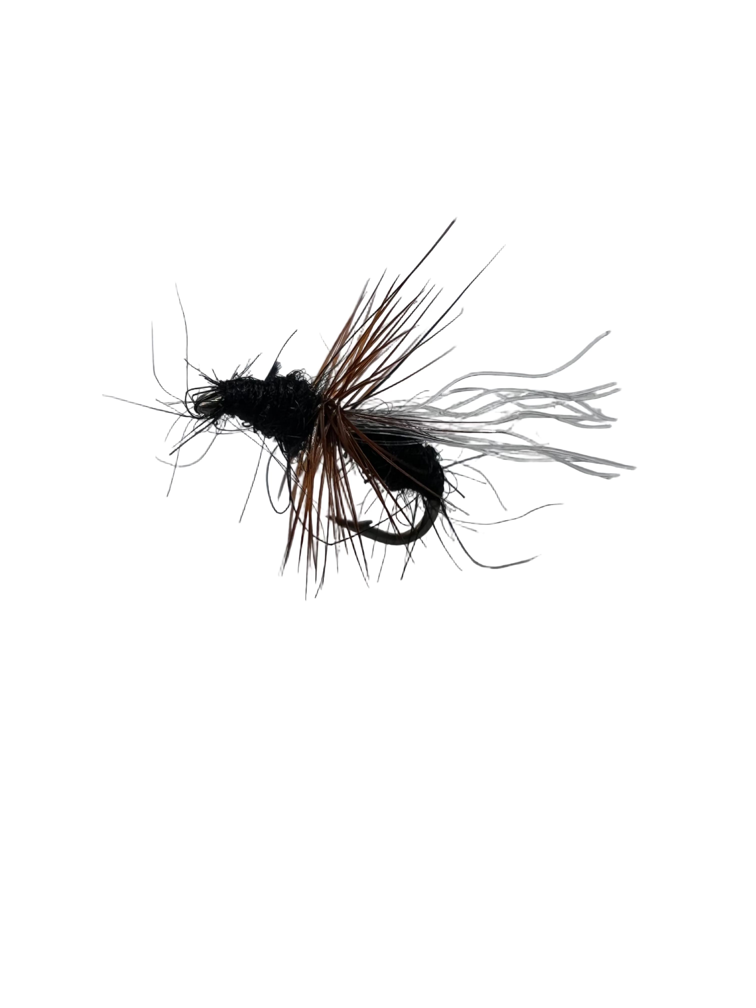 BMAR Flying Ants
