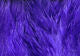 Strung Marabou