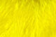Strung Marabou