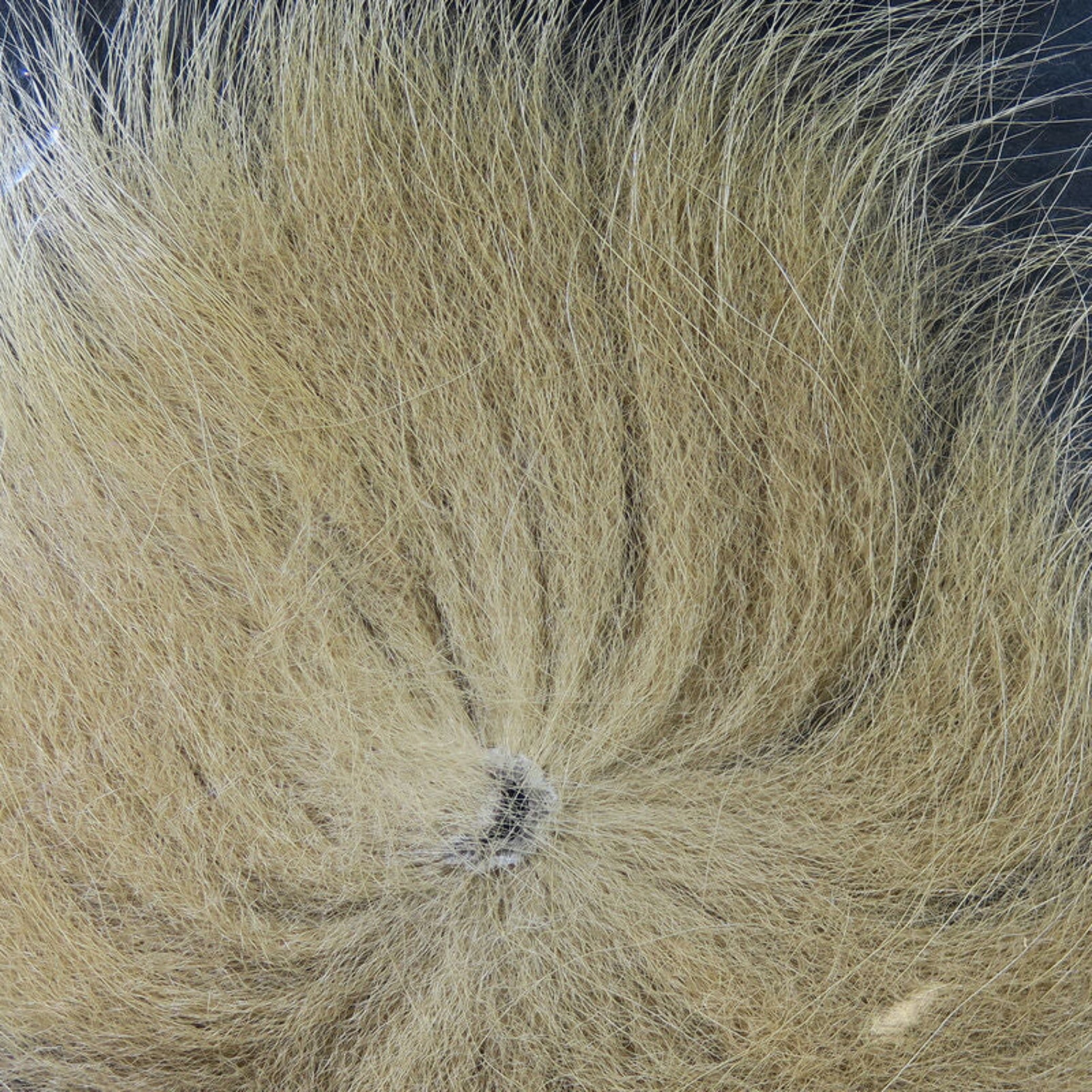 Hareline Arctic Fox Tail