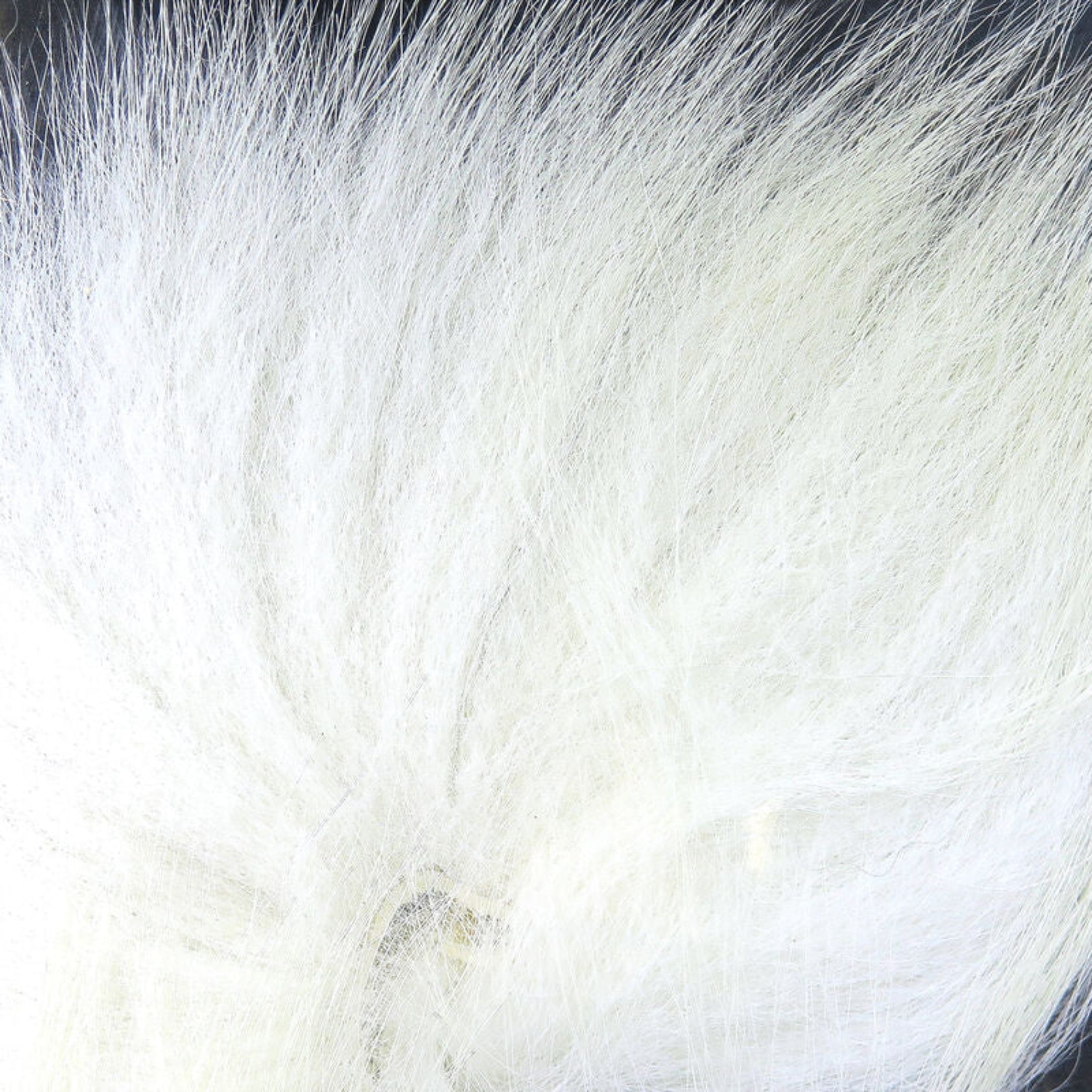 Hareline Arctic Fox Tail
