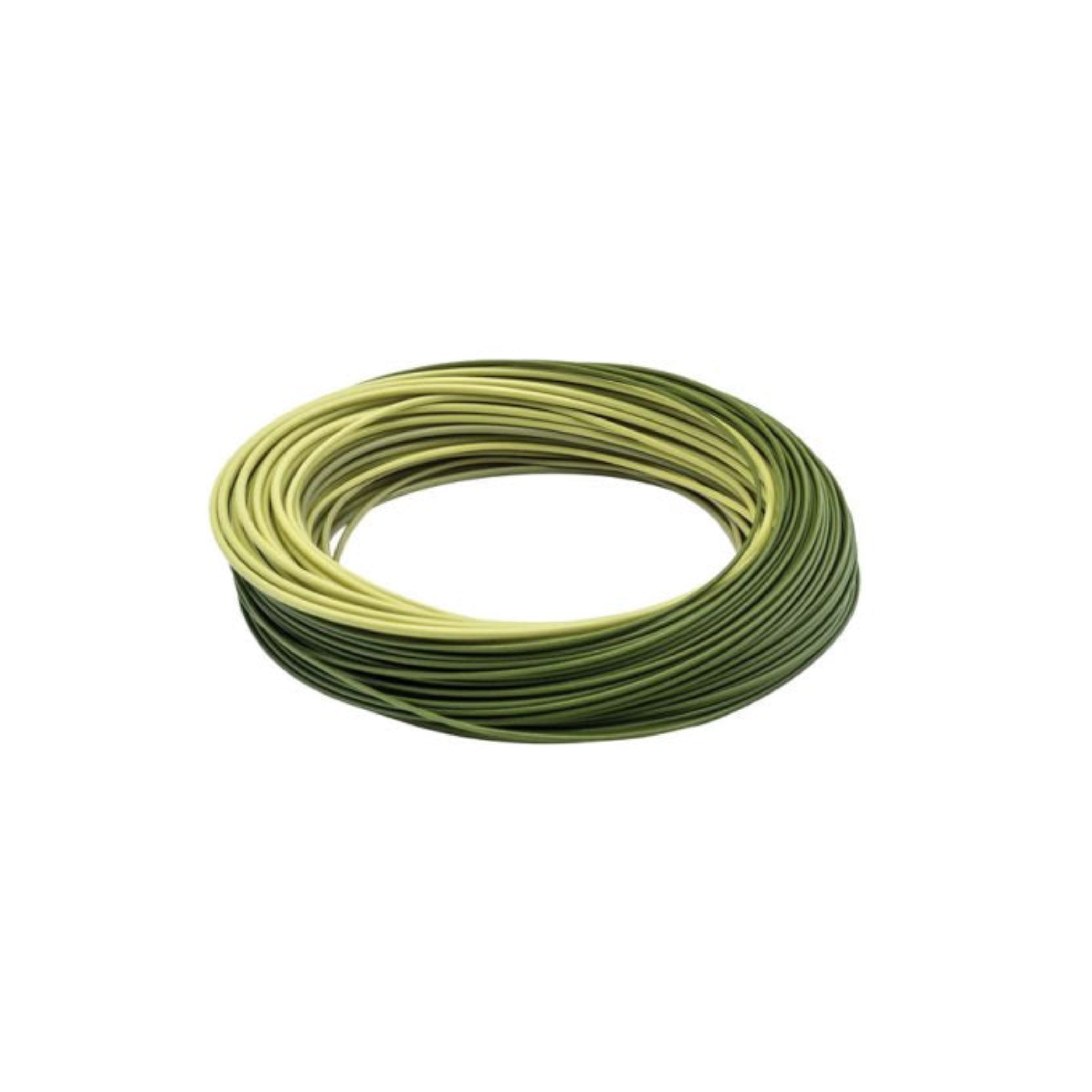 Amplitude Smooth Carp
