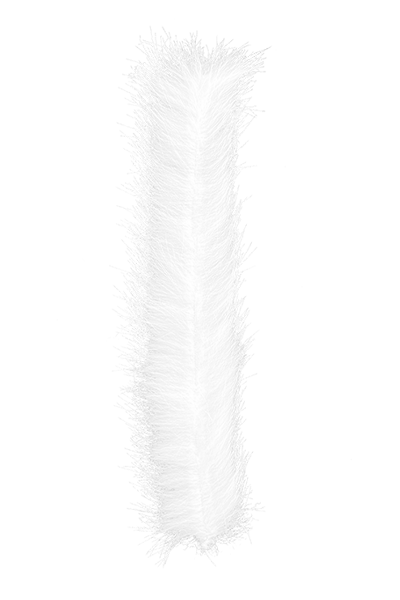 MFC Bunny Brush