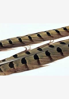 Hareline Ringneck Pheasant Tail