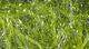 Hareline UV Polar Chenille