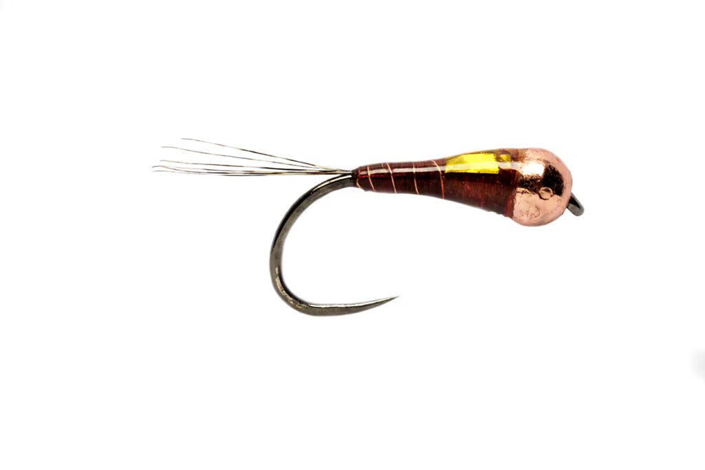 Daniel's Sunburst Perdigon